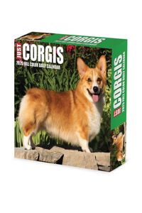 Corgis 2026 5.4 X 6.2 Box Calendar