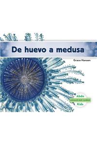 de Huevo a Medusa (Becoming a Jellyfish) (Spanish Version)