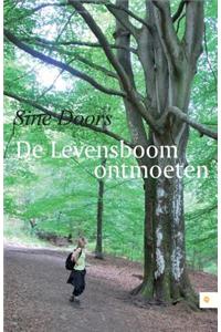 de Levensboom Ontmoeten