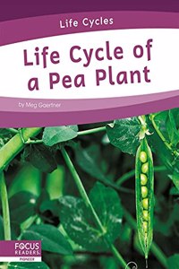 Life Cycles: Life Cycle of a Pea Plant