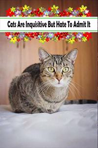 Cats Are Inquisitive But Hate To Admit It