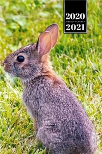 Rabbit Bunny Hare Rodent Week Planner Weekly Organizer Calendar 2020 / 2021 - Observing from Lawn