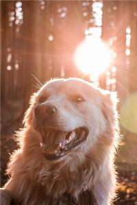 Golden Retriever Dog Pup Puppy Doggie Notebook Bullet Journal Diary Composition Book Notepad - Sunbeams