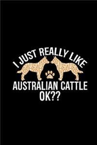 I Just Really Like Australian Cattle Ok?