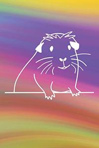 Süßes Meerschweinchen