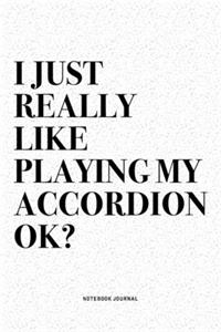 I Just Really Like Playing My Accordion Ok?