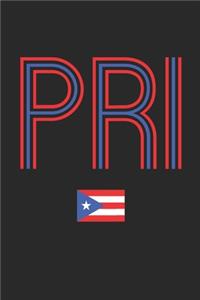 Vintage Puerto Rico Notebook - Puerto Rico Diary - Retro Puerto Rican Flag Journal - Puerto Rico Gifts