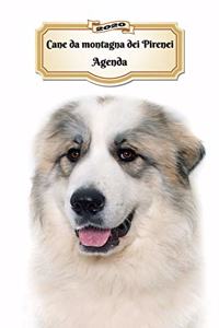 2020 Cane da montagna dei Pirenei Agenda