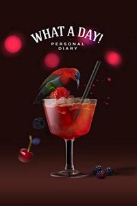 What a Day! Personal Diary