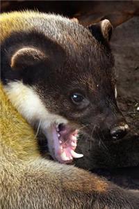 The Yellow-Throated Marten Journal