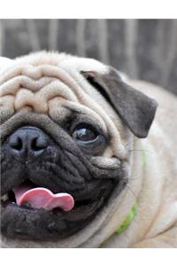 Pug Handwriting Practice Book