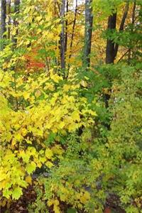 2019 Weekly Planner Fall Season Yellow Leaves 134 Pages