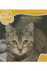 Pet Animals Bilingual