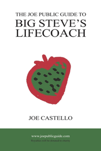 Joe Public Guide To Big Steve's Lifecoach