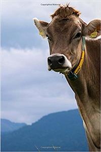 A Cow Standing in the Alpine Mountains Journal