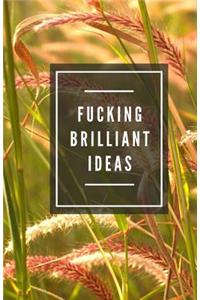 Fucking Brilliant Ideas (Notebook)