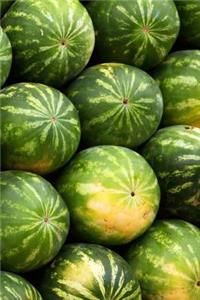 Watermelon Notebook