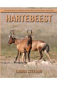 Hartebeest