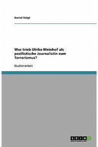 Was trieb Ulrike Meinhof als pazifistische Journalistin zum Terrorismus?