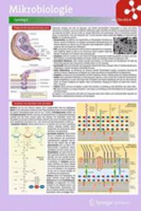 Lerntafel: Mikrobiologie im Überblick