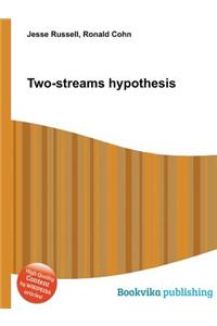 Two-Streams Hypothesis