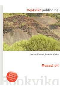 Messel Pit
