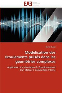 Mod�lisation Des �coulements Puls�s Dans Les G�om�tries Complexes