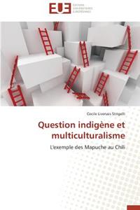 Question Indigène Et Multiculturalisme