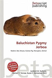 Baluchistan Pygmy Jerboa