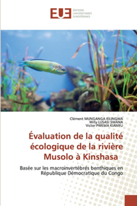 Évaluation de la qualité écologique de la rivière Musolo à Kinshasa