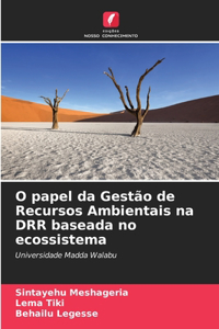 O papel da Gestão de Recursos Ambientais na DRR baseada no ecossistema