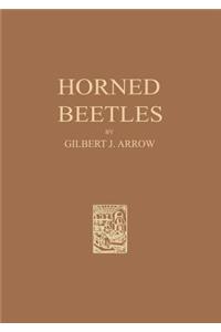 Horned Beetles