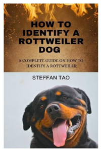How to Identify a Rottweiler