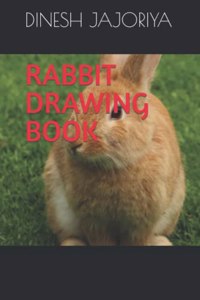 Rabbit Drawing Book