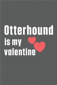 Otterhound is my valentine