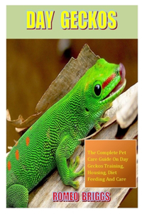 Day Geckos
