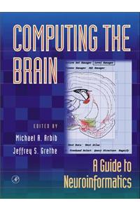 Computing the Brain
