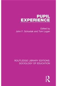 Pupil Experience