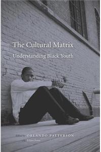 The Cultural Matrix: Understanding Black Youth