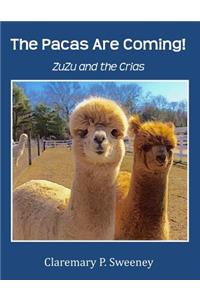 Pacas Are Coming!