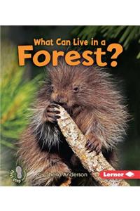 What Can Live in a Forest?