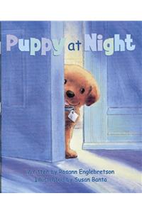 Ready Readers, Stage ABC, Book 15, Puppy at Night, Big Book