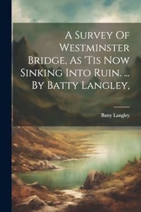 Survey Of Westminster Bridge, As 'tis Now Sinking Into Ruin. ... By Batty Langley,