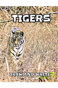 Tigers
