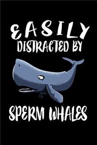 Easily Distracted By Sperm Whales