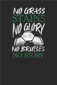 No Grass Stains No Glory