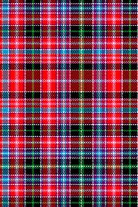Clan Udney Tartan Journal/Notebook