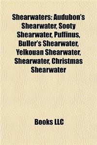 Shearwaters