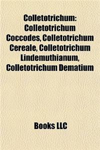 Colletotrichum Colletotrichum