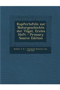 Kupfertafeln Zur Naturgeschichte Der Vogel, Erstes Heft - Primary Source Edition